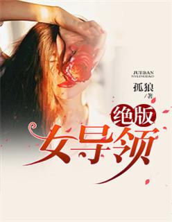绝版女领导无删减版电影