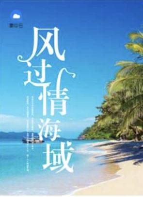 风过情海城免费阅读最新更新