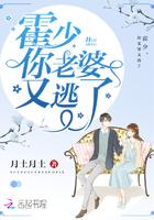 霍少你老婆又逃了免费阅读