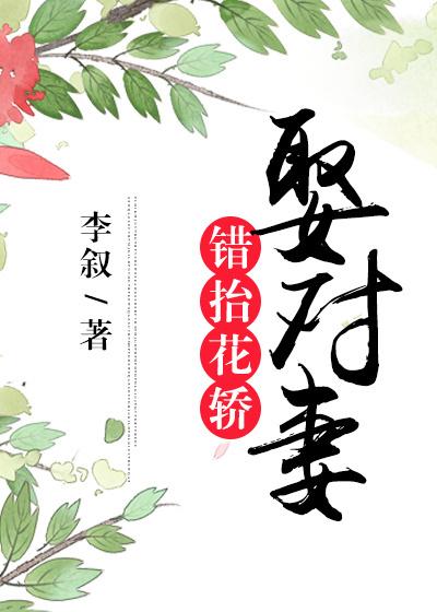 错抬花轿娶对妻gl全文