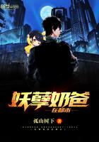 妖孽奶爸在都市顶点