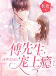 盛世隐婚傅先生宠上瘾免费阅读全文