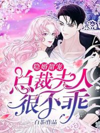 隐婚甜妻总裁夫人不太乖