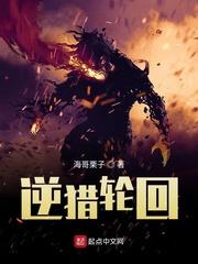 逆轮皇者贴吧