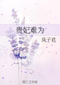 贵妃难为凤子君讲的什么
