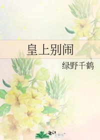 皇上别闹简介
