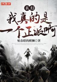 我真的是正派 境界
