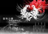 画墨镜