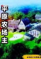 平原村怎么样