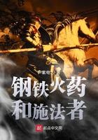 钢铁火药和施法者无弹窗
