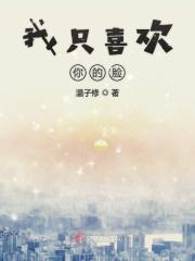 我只喜欢你的脸盛闻言沈在全文免费阅读