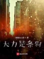 大力是什么玩意儿