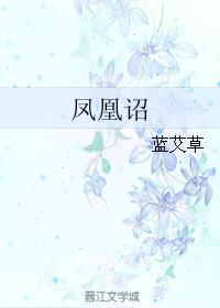 凤凰诏是什么意思