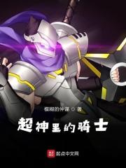 超神圣骑士我来读