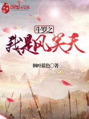 斗罗之我是风笑天免费阅读
