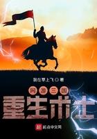 网友三国重生术士