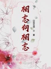 相忘歌词