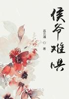 侯爷难伺格格党