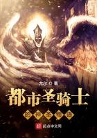 都市圣骑士异闻录