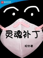 灵魂武器补丁