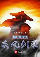 疾风剑豪啥意思