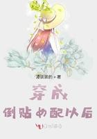 穿成倒贴豪门女配txt