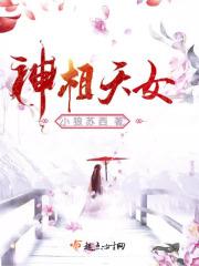 神相天书完整