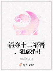清穿成十二阿哥的
