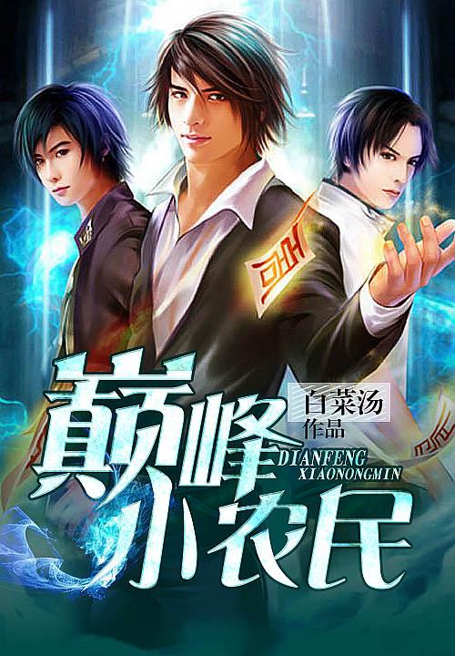 巅峰小农民 顶点