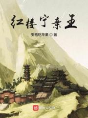 红楼梦宁府为什么被抄家