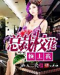 总裁校花赖上我楚楠有几个女朋友