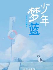 少年梦原版