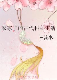 农家子的古代科举生活好看不
