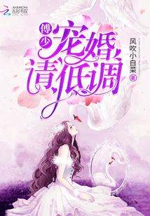 傅少宠婚请低调林西西