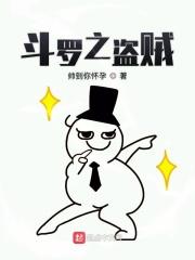 斗罗之盗贼免费阅读